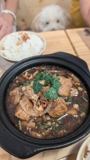 Tofu i bolets at The Lotus Bistro in Reus