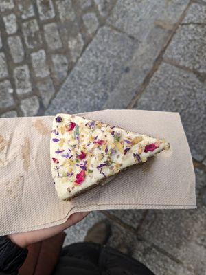  at My Cat's Cake in Cuenca