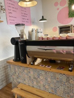  at Aroma and Bread in Madrid