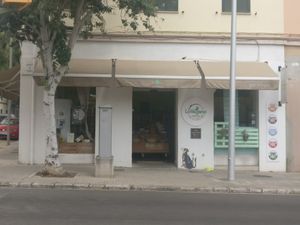 LoVegano at LoVegano in Mallorca