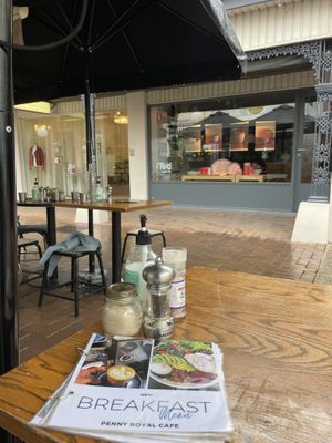   at The Penny Royal in Mosman