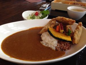 Curry at Shojin Cafe Foi - Shintouri in Wakayama