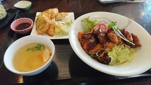 beef rice and dumpling at Shojin Cafe Foi - Shintouri in Wakayama
