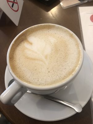   at Mon Bistro in Kotor