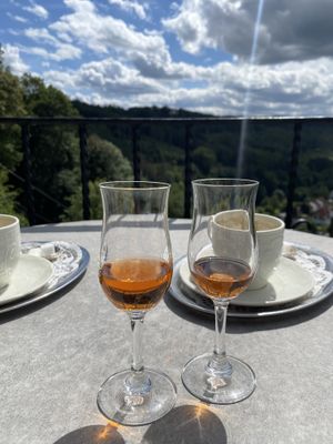 Beautiful View & vegan Cake and Schnaps  at Cafe Zum Rittersturz in Solingen