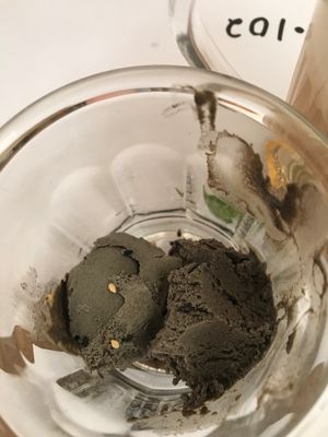 Black sesame ice cream: don’t miss his unbelievable taste at Comptoir 102 in Dubai