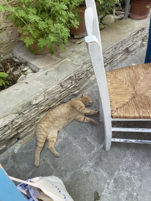   at Coffee Yard Cafe-Restaurant in Lefkara