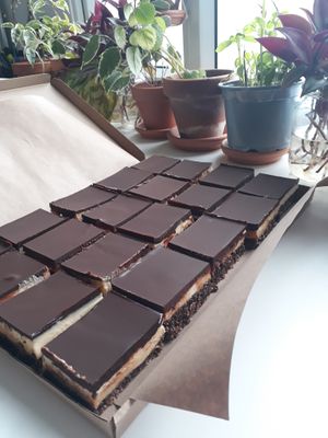 Vegan Nanaimo bars: coconutty biscuit base, custard buttercream filling and a thick layer of organic dark chocolate.  at The Spotless Leopard - Food Van in Bristol