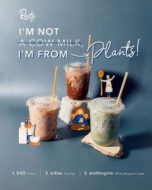  at Roasty in Chiang Mai