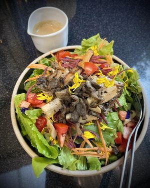 Mixed mushroom salad at Roasty in Chiang Mai