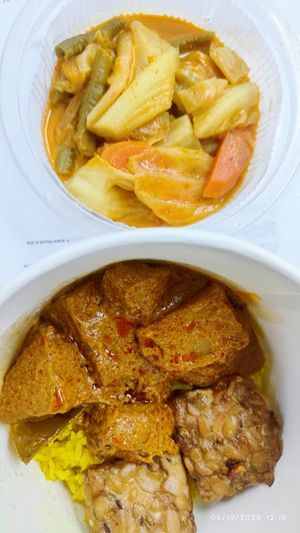 Nasi Briyani - takeaway ❤️ at Tuo Yuan - 陀缘 in Central Singapore