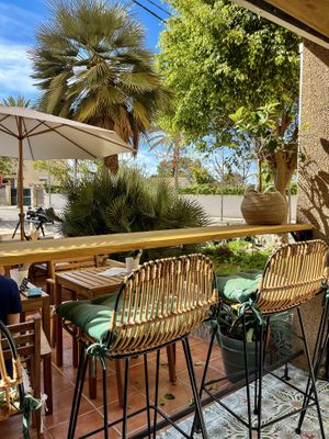 Views  at PLANT SHACK - Cala Mayor in Mallorca