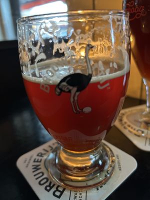 Natte  at Brouwerij 't IJ in Amsterdam