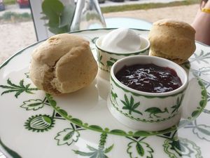 Scones with whipped cream & jam from the Vegan Afternoon tea at RenMor in Newquay