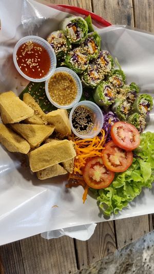 Tofu bites and summer rolls THB120 at Green Food in Chiang Mai