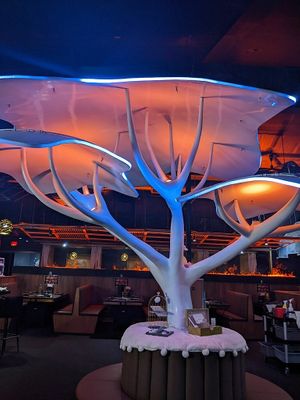 The interior you're greeted to at Molo Asian BBQ and Hotpot in Appleton