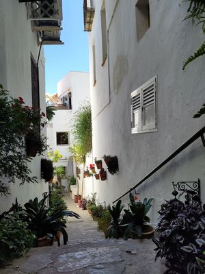  at Restaurante Califa Express in Vejer De La Frontera