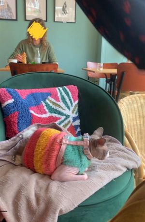 Huiselijke sfeer, voor iedereen. Kind, dier en eco vriendelijk.   at Noencafé in Oostende