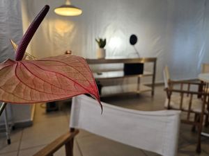 Inside - the white walls need Peruvian colour at Ongo in Porto