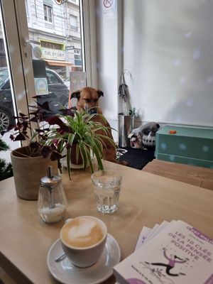  at Cabaïtan in Lyon