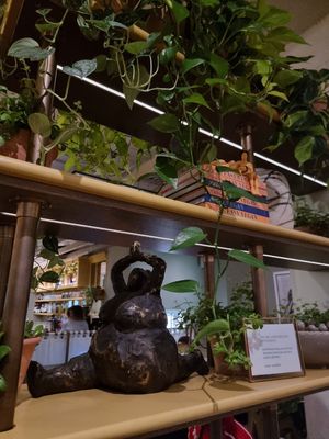 House decoratio at Mildreds - Victoria in South West London