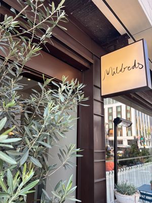   at Mildreds - Victoria in South West London