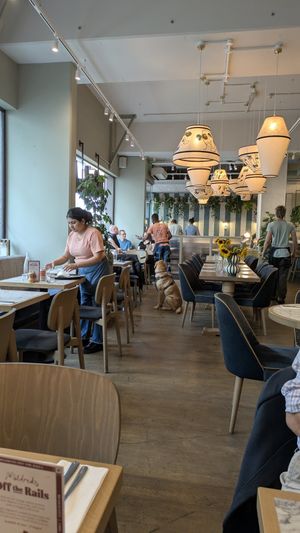  at Mildreds - Victoria in South West London