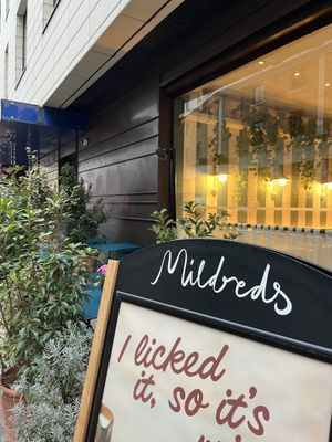   at Mildreds - Victoria in South West London