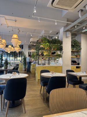   at Mildreds - Victoria in South West London