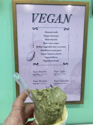 Vegan pistachio  at Gelatoville in New York City