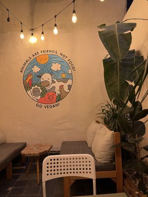   at Zeus Vegkek in Izmir