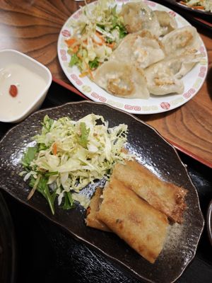 Spring rolls - a little bit greasy but still tasty! at Keiai - 桂愛 in Hiroshima