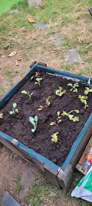   at Quinoa in Barcelona