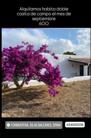   at Quinoa in Barcelona