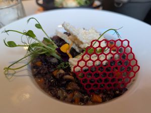  at Wonderland Ljubljana in Ljubljana