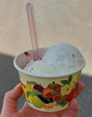 Vegan ice cream at VAGAMARY in Szekesfehervar