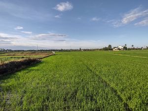 Beautiful view at Nghe Coffee in Hoi An