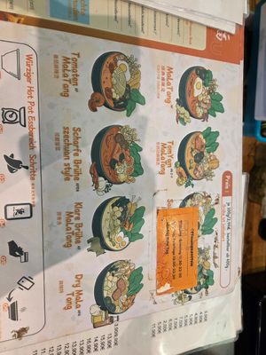 Broths (peanut, tomato and coconut are vegan) at YGF Hotpot in Vienna