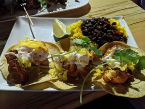 Buffalo Cauliflower Tacos at Revolution Kitchen in Burlington