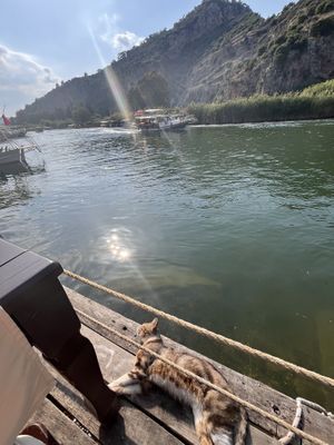 a gorgeous view!   at Dalyan Ceyhan Restaurant in Mugla