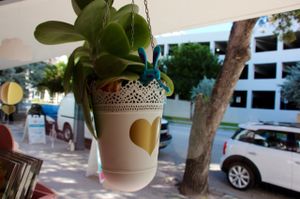 bunny  at Bunnie Cakes in Doral