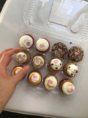 Mini gluten free cupcakes  at Bunnie Cakes in Doral
