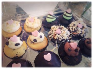 Cupcakes! at Bunnie Cakes in Doral