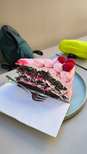 Big piece of an amazing Raspberry-Poppy-Cake (Himbeer-Mohn) - absolutely divine at ELOU in Vienna