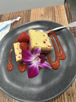 Raw cakes  at Fleur Cuisine Harborside - Rockport in Rockport