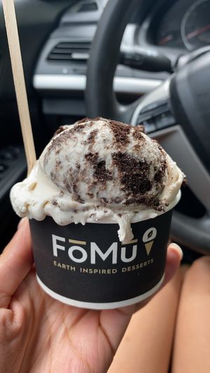Vanilla bean & cookies and cream. at FoMu in Jamaica Plain