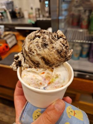  at FoMu in Jamaica Plain