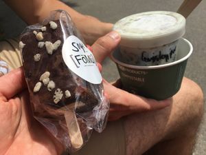 Rice Crispy chocolate covered ice cream sandwich at FoMu in Jamaica Plain