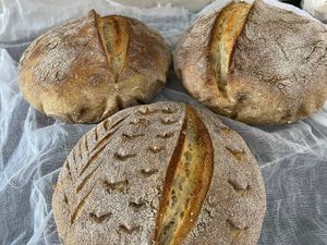 All sandwiches and toasts are served on house-made sourdough! at Smokey Jo's Cafe in Udaipur