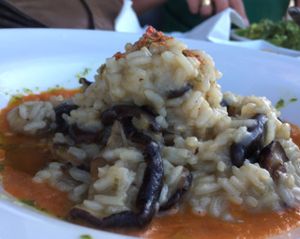 a simple dish of risotto with mushrooms at Bistro 'O Porto in Tavira